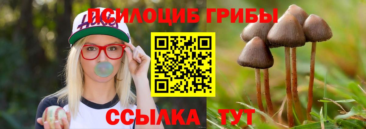 Псилоцибиновые грибы прущие грибы  Вход с VPN  Галлюциногенные грибы Cubensis  Среднеуральск 